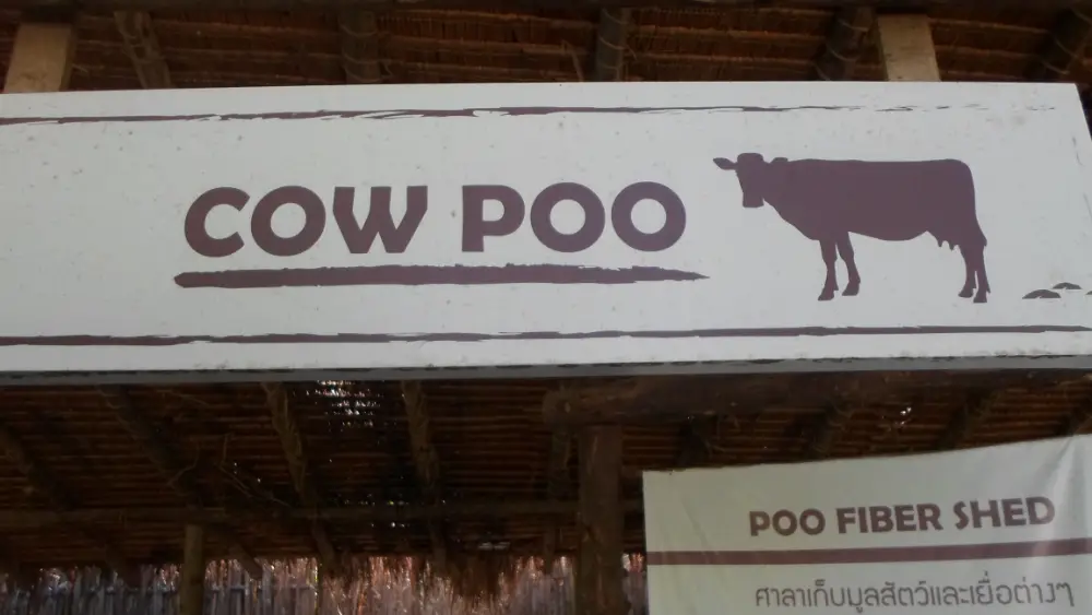 Vagamondi commercio equo solidale Progetto PooPooPaper - cow poo