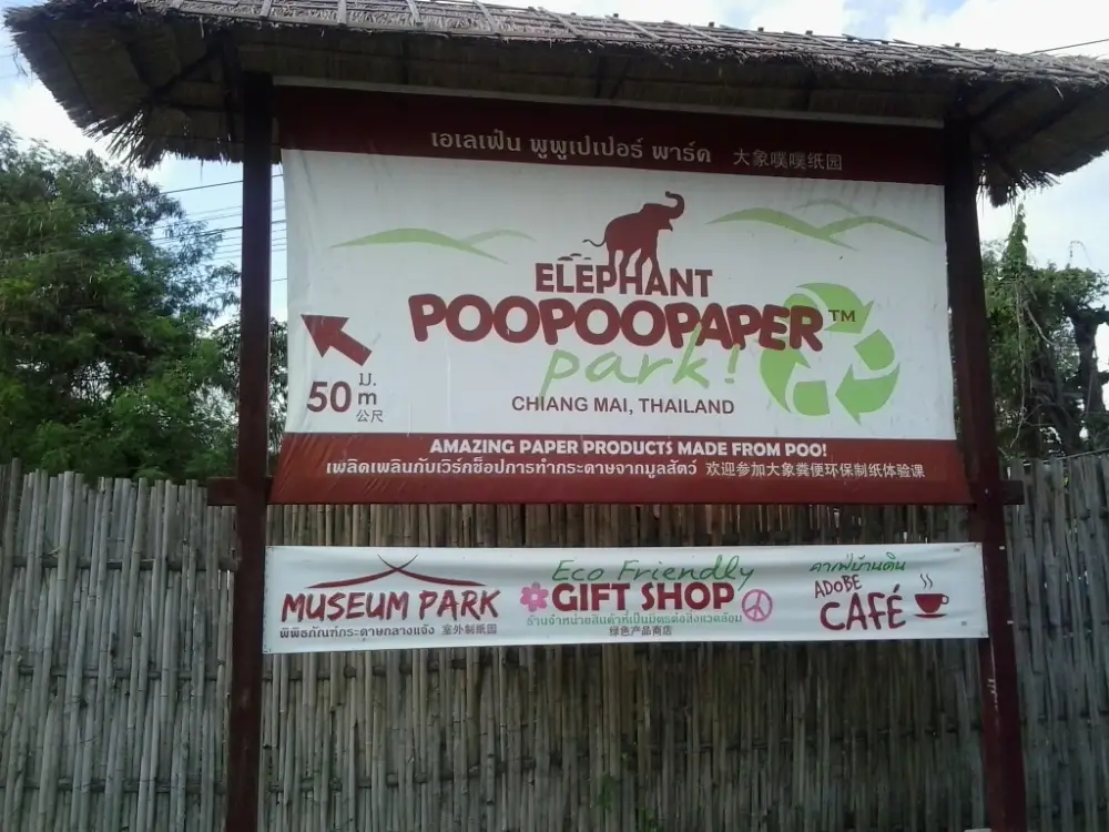 Vagamondi commercio equo solidale Progetto PooPooPaper - parco