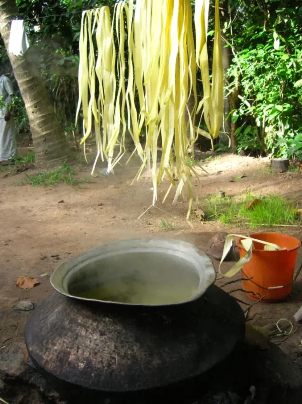 lavorazione scatoline in foglie di palma Sri Lanka